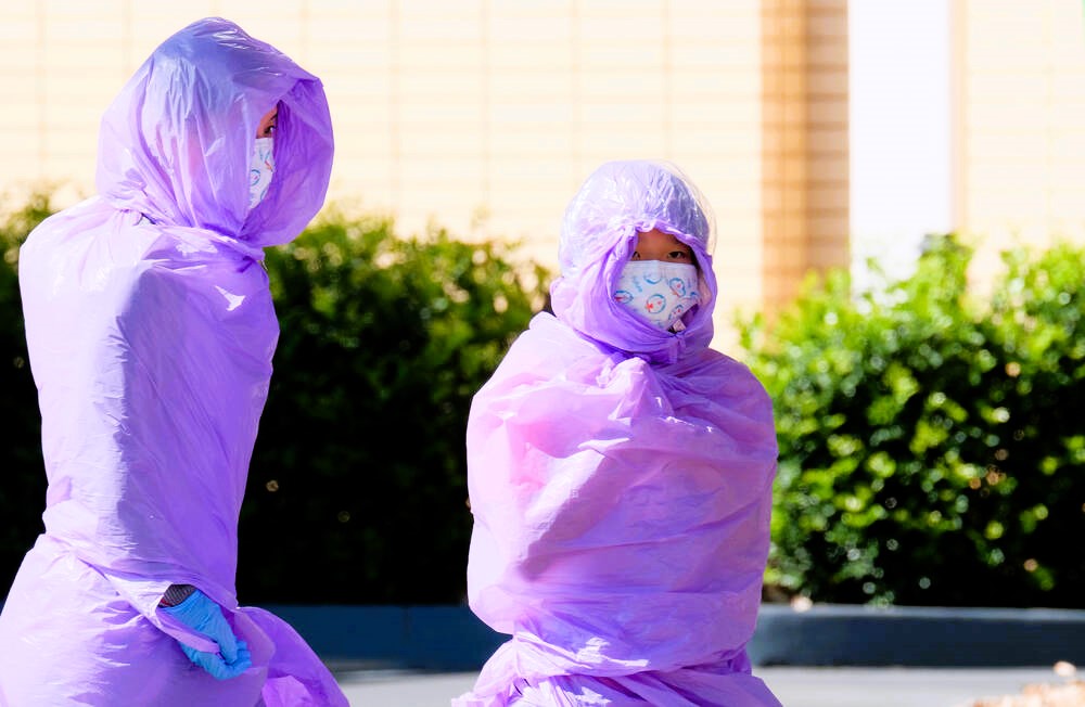 Neues, tödliches Virus in Sachsen-Anhalt entdeckt! Schwerer Fall des Bornavirus bestätigt!