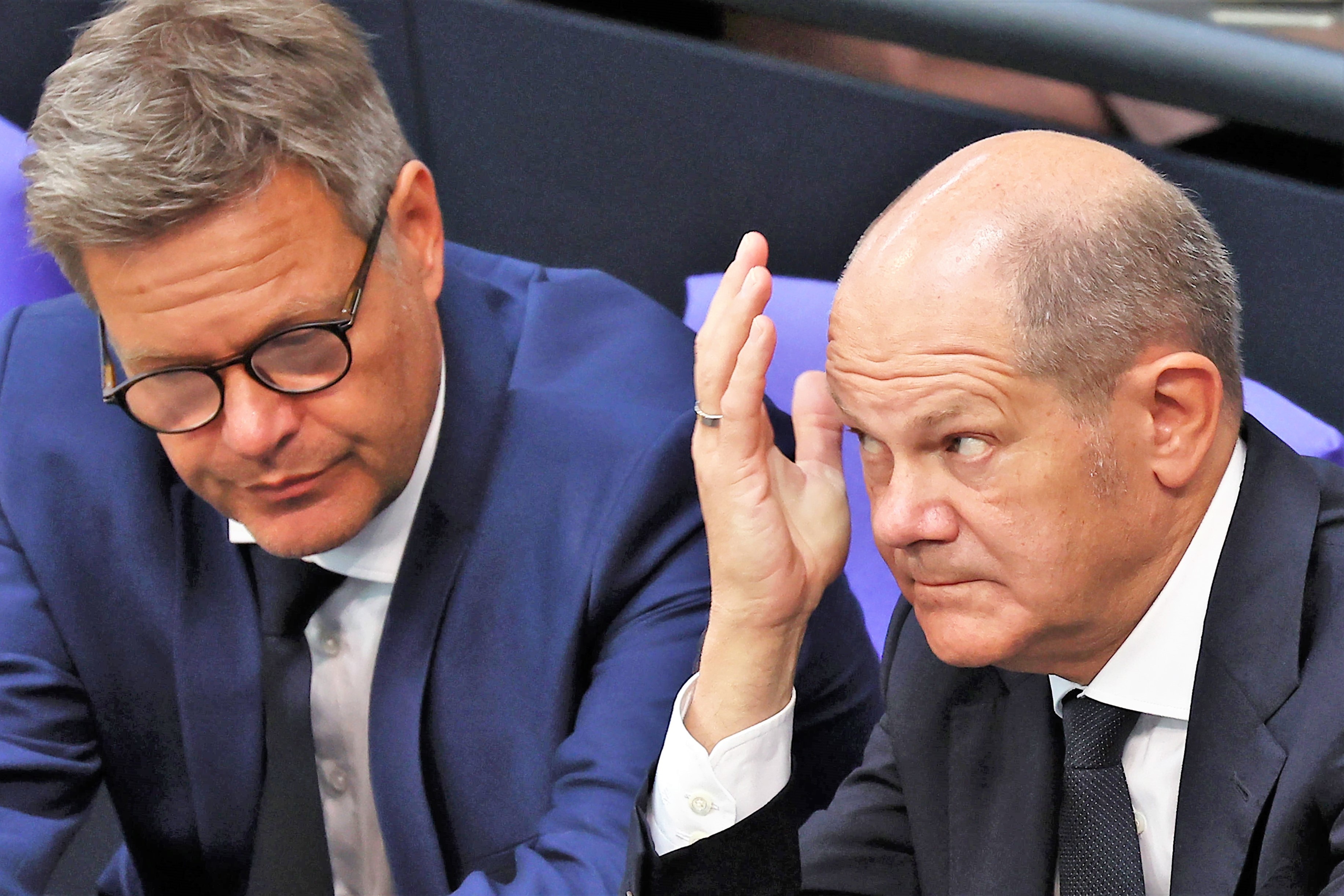 Umfrage-Hammer für die AFD! Schock für Grüne, SPD und Co. - damit hat keiner gerechnet!