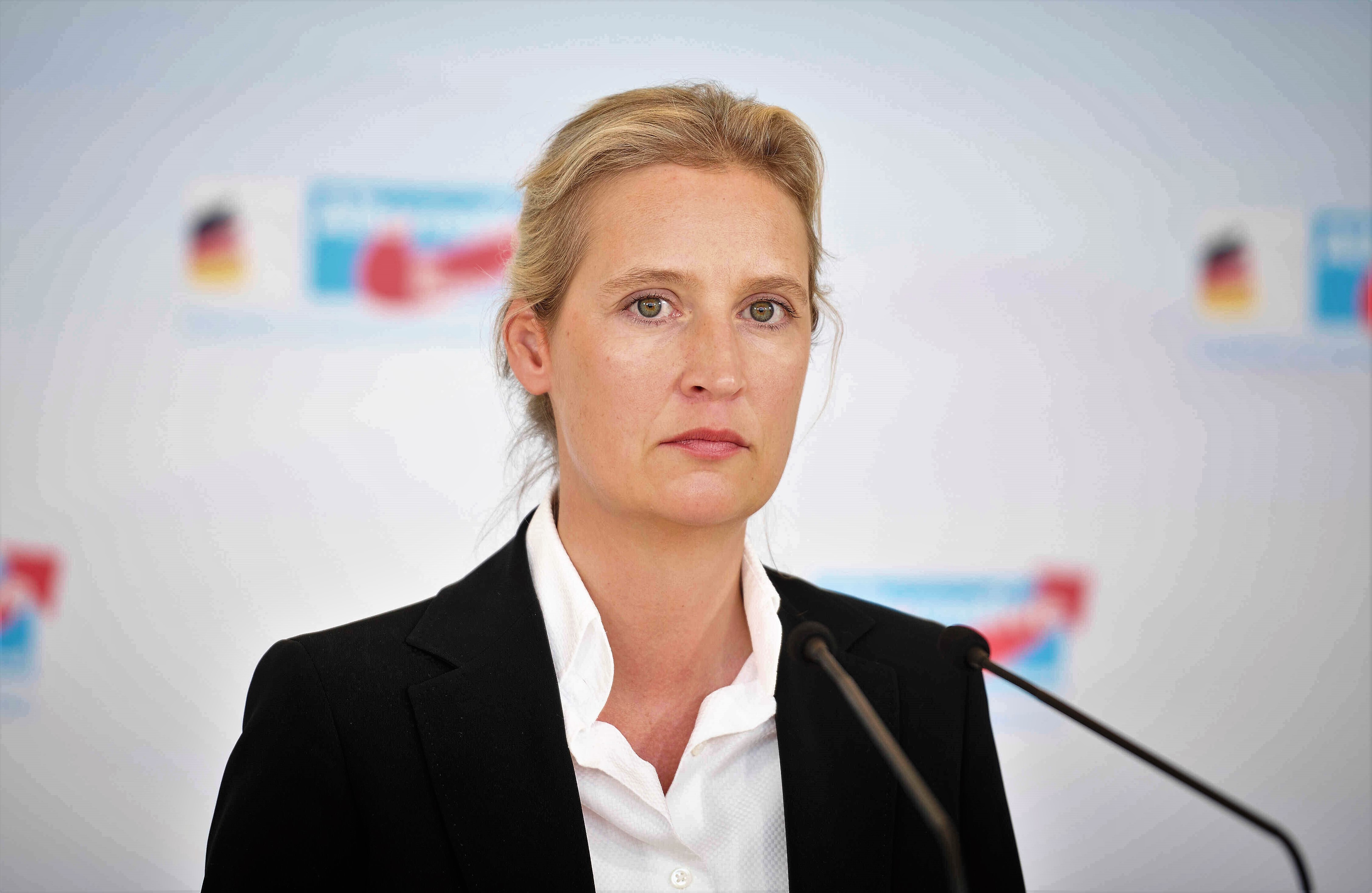 AfD schon stärkste Partei in Deutschland? Experte kommt nach Umfrage zu schockierendem Ergebnis!